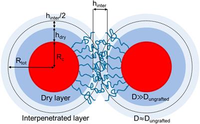 Towards the polymer nanocomposites based on hairy nanoparticles